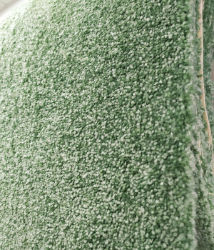 Ковровое покрытие Cаrousel 40, изумрудно-зелёный (латексная основа) - Condor-Carpets