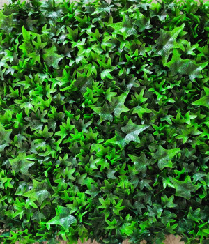 Perete verde/decorativ Ivy 