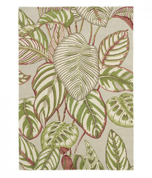 Covor SANDERSON Calathea-Oil 50807 -