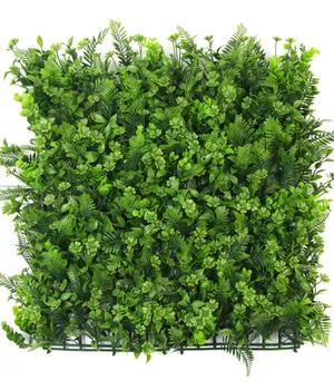 Perete verde/decorativ 