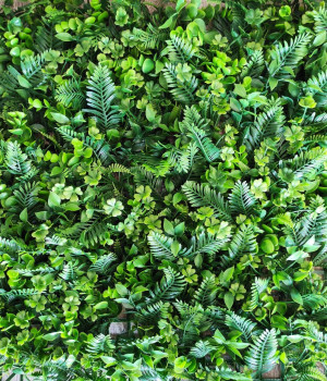 Perete verde/decorativ Phytowall 