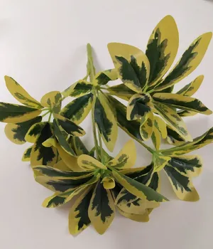 Pittosporum artificial 30cm
