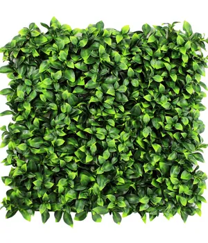 Perete verde/decorativ 