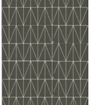 Covor  Fenix 20412-693 -