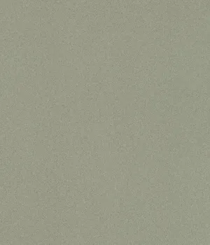 Linoleum LENTEX RANGER 603-02 4m