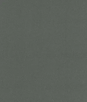 Linoleum LENTEX RANGER 603-03 4m