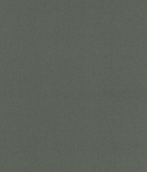 Linoleum LENTEX RANGER 603-03 4m