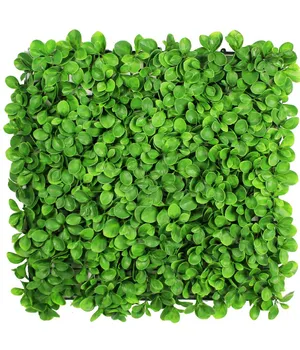 Perete verde/decorativ 