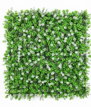 Perete verde/decorativ 