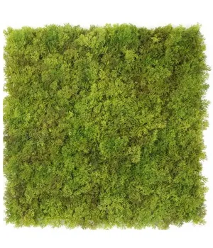 Perete verde/decorativ 