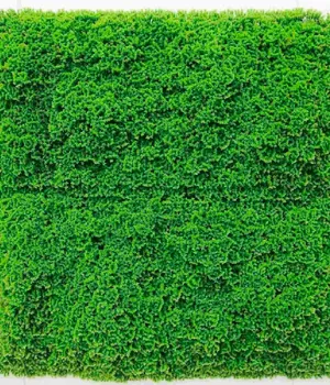 Perete verde/decorativ 
