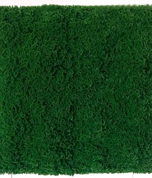 Perete verde/decorativ 