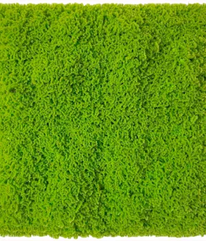 Perete verde/decorativ 