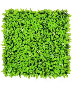 Perete verde/decorativ 