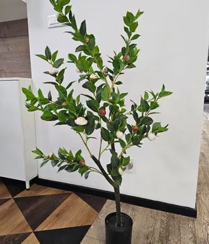 Plante decorative într-un ghiveci 