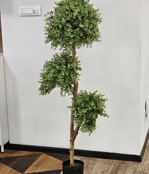 Plante decorative într-un ghiveci UV 