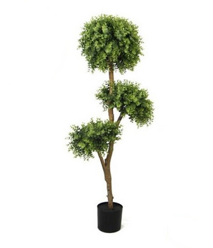 Plante decorative într-un ghiveci UV 