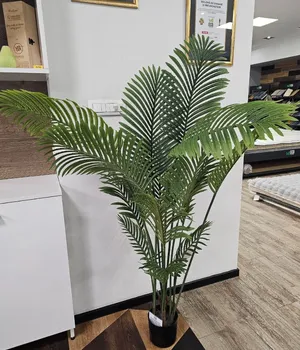 Декоративные растения в горшке Indoor 