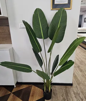 Plante decorative într-un ghiveci Indoor 