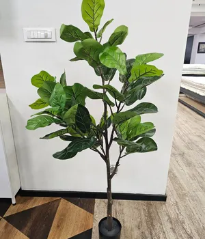 Декоративные растения в горшке Indoor 