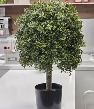 Plante decorative într-un ghiveci UV 