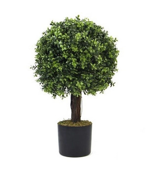 Plante decorative într-un ghiveci UV 