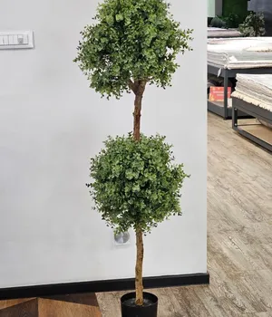 Plante decorative într-un ghiveci UV 