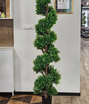 Plante decorative într-un ghiveci UV 