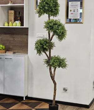 Plante decorative într-un ghiveci Indoor UV 