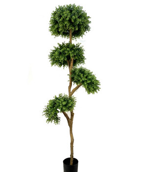 Plante decorative într-un ghiveci Indoor UV 