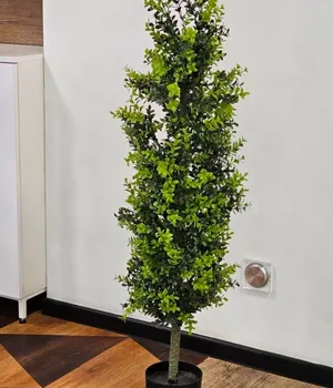 Plante decorative într-un ghiveci UV 