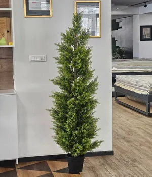 Plante decorative într-un ghiveci UV 