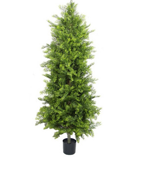 Plante decorative într-un ghiveci UV 