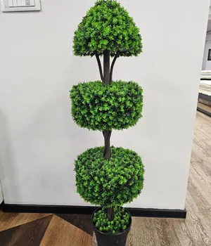 Plante decorative într-un ghiveci UV 