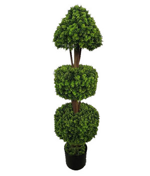 Plante decorative într-un ghiveci UV 