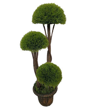 Plante decorative într-un ghiveci UV 