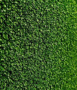 Ландшафтная трава POLO 4M color 7275 VERDE