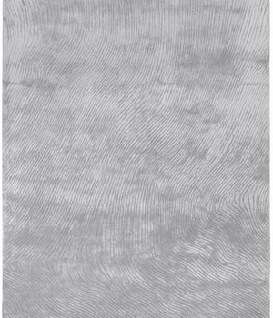 Covor CARPET DECOR DYWAN CANYON SILVER 200x300