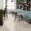 Linoleum BIG TITAN Skala 090L