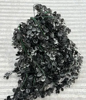 Planta decorativă 