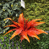 Plante decorative „Ferigă mare și mică”
