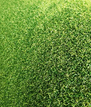 Ландшафтная трава, SCHOOLS, плотный ворс зелёного цвета -